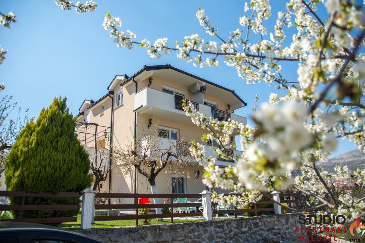 Studio apartmani Milović Trebinje Esterno foto